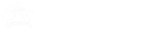 logo-setas